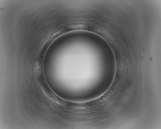 X0000080120743200612081251