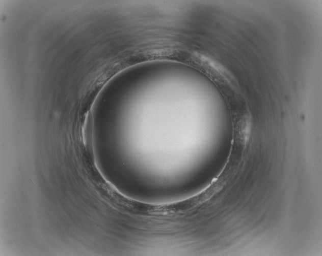 X0000080120746200612081251