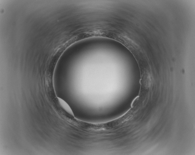 X0000080120747200612081251