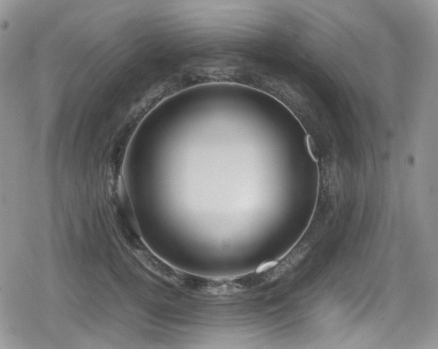 X0000080120752200612081252