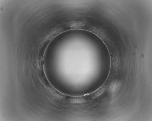 X0000080120755200612081252