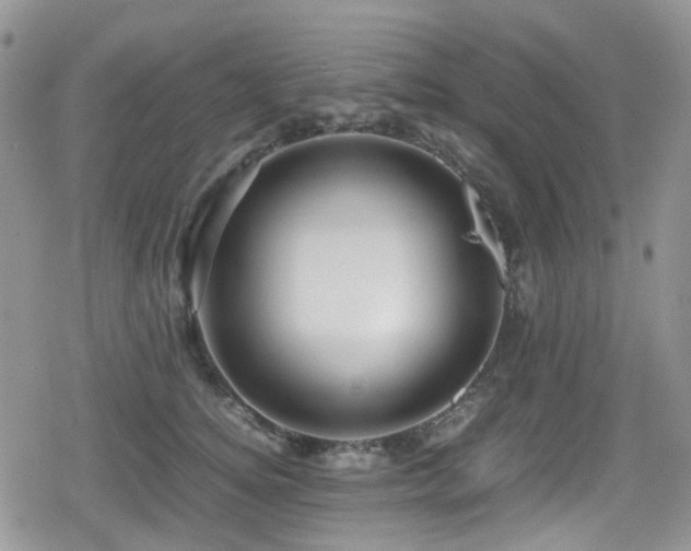 X0000080120756200612081252