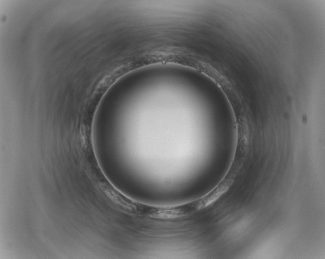 X0000080120758200612081252