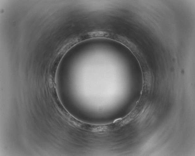 X0000080120761200612081252