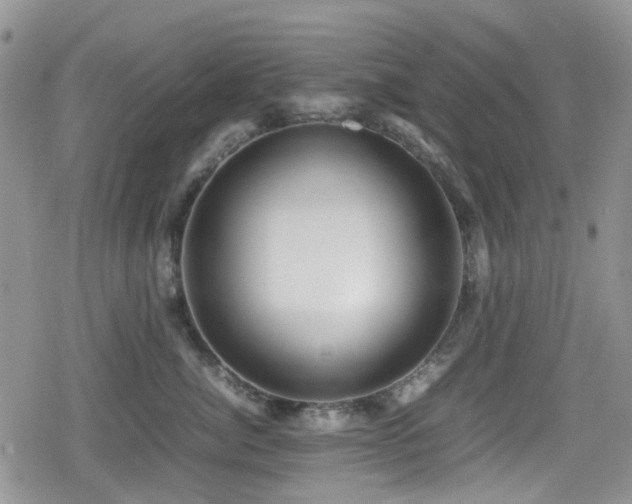 X0000080120764200612081252