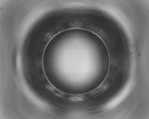 X0000080120765200612081252