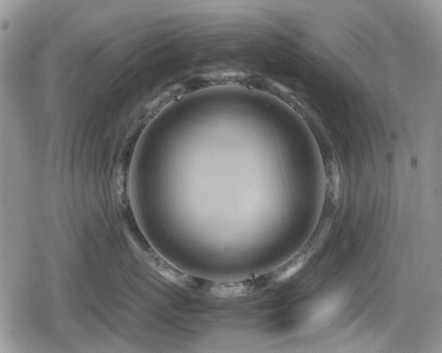 X0000080120767200612081252