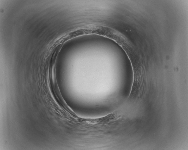 X0000080120773200612081251