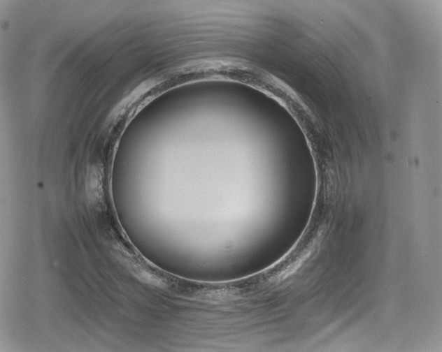 X0000080120778200612081251