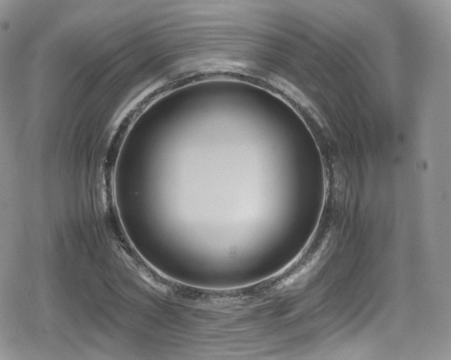 X0000080120782200612081251
