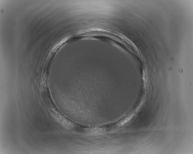 X0000080120785200612081251