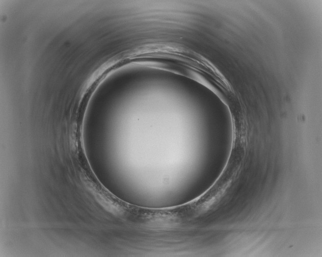 X0000080120786200612081251