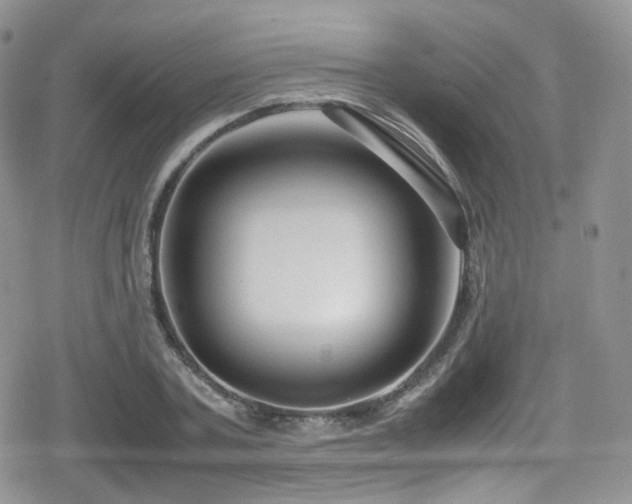 X0000080120787200612081251