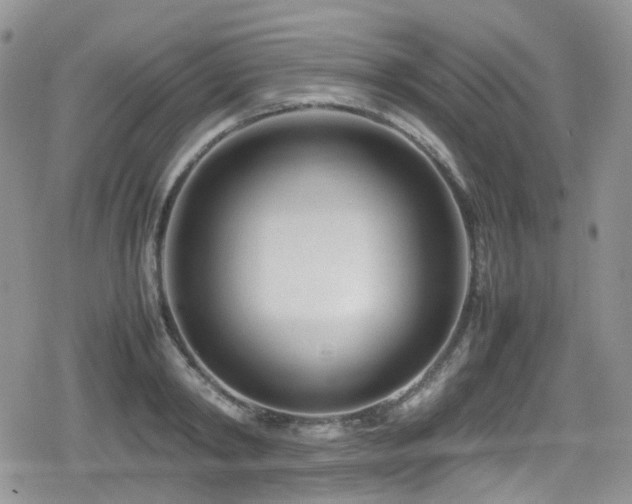 X0000080120798200612081251
