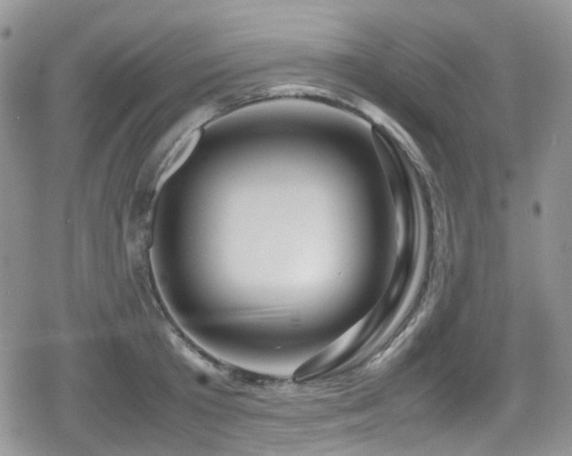 X0000080120801200612081250