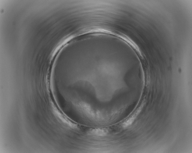 X0000080120806200612081250
