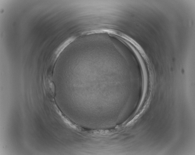 X0000080120809200612081250