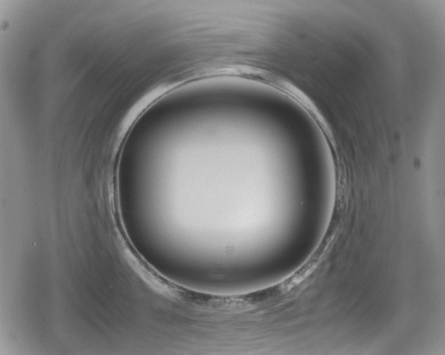 X0000080120811200612081250