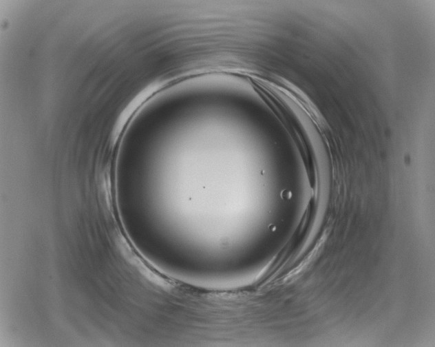 X0000080120812200612081250