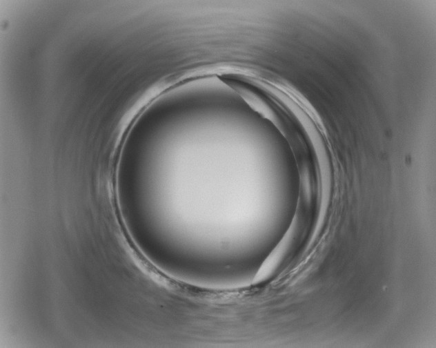 X0000080120813200612081250