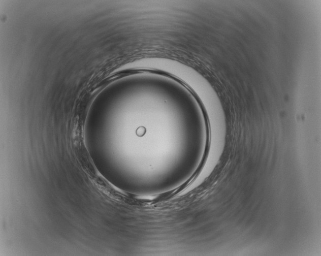 X0000080120818200612081249