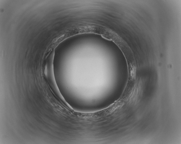 X0000080120819200612081249