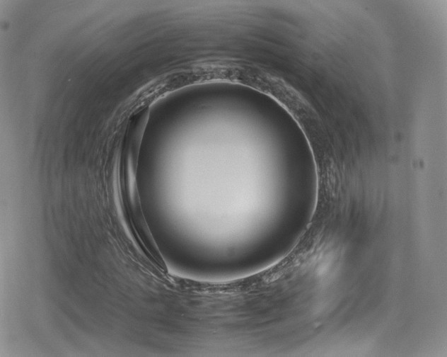 X0000080120821200612081250