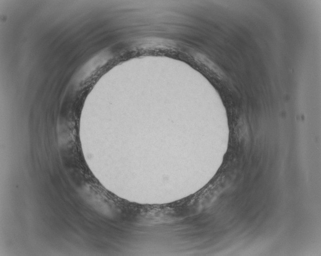 X0000080120824200612081250