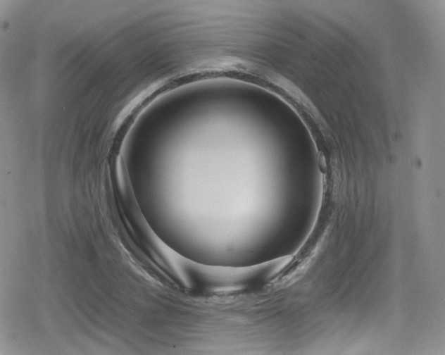 X0000080120834200612081250