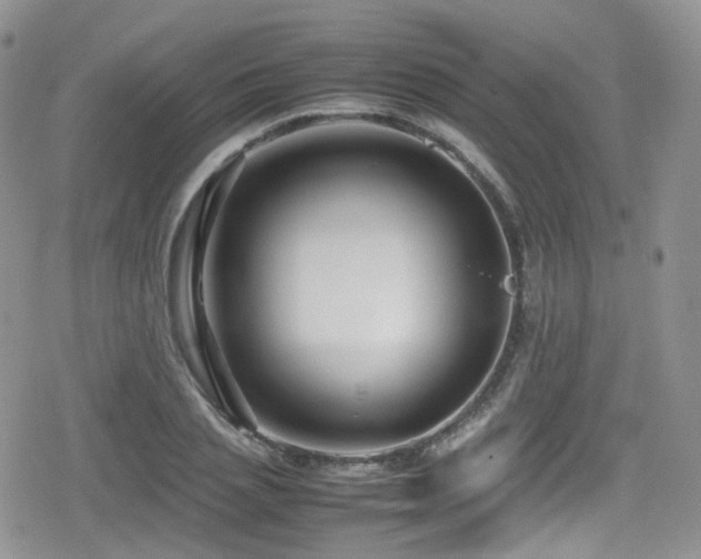 X0000080120837200612081250