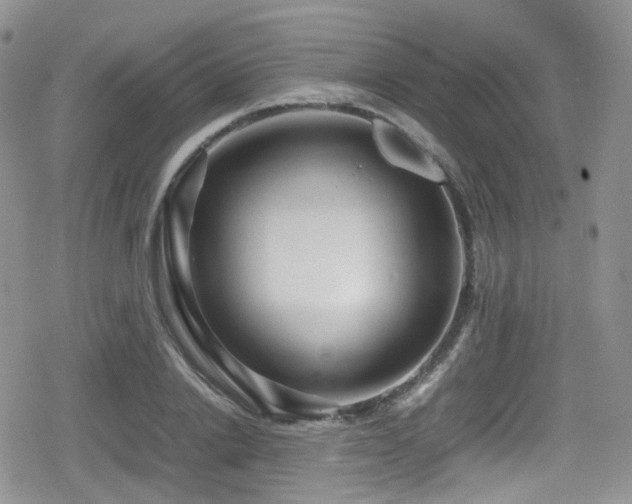 X0000080120838200612081250