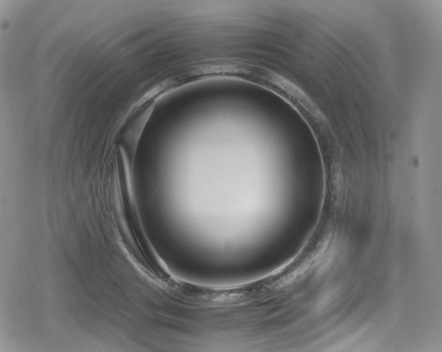 X0000080120841200612081250