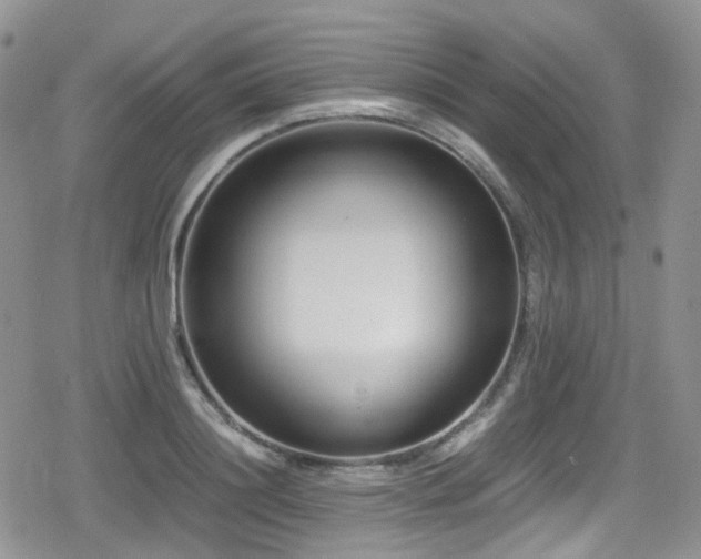 X0000080120844200612081250