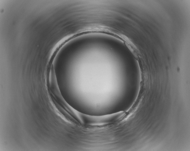 X0000080120846200612081250