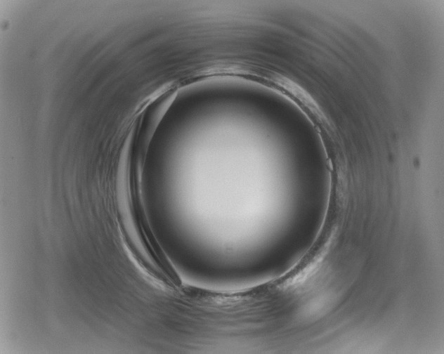 X0000080120849200612081250