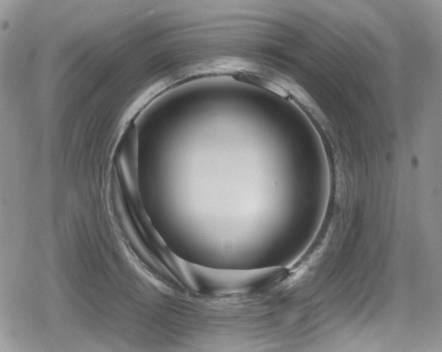 X0000080120850200612081250