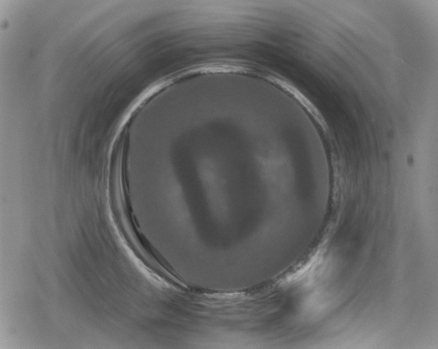 X0000080120853200612081250