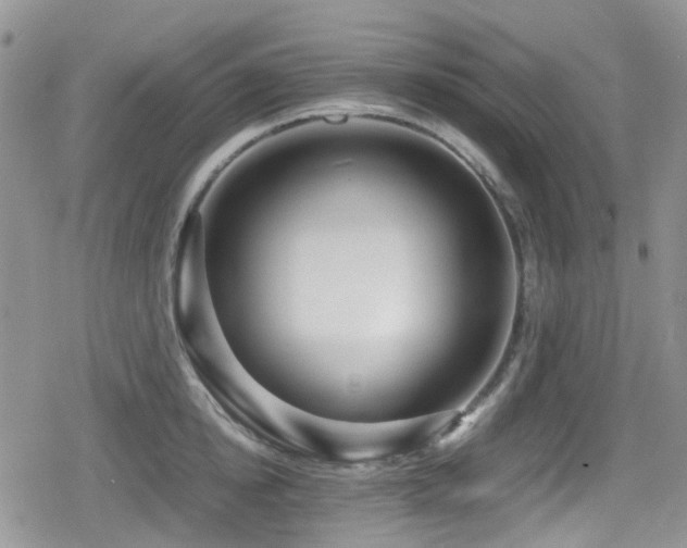X0000080120854200612081250