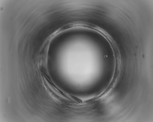 X0000080120857200612081250