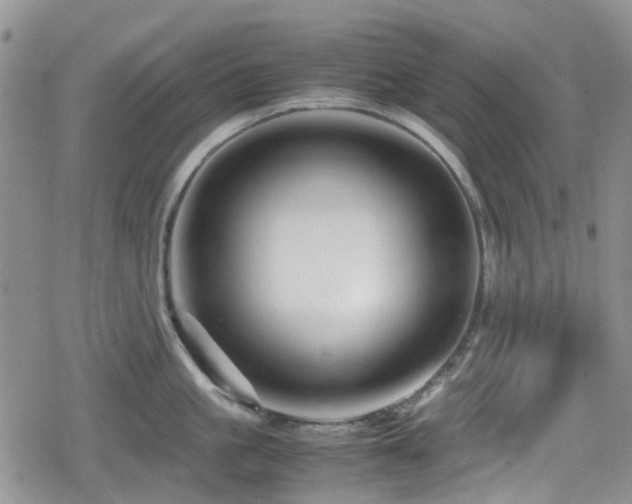 X0000080120861200612081250