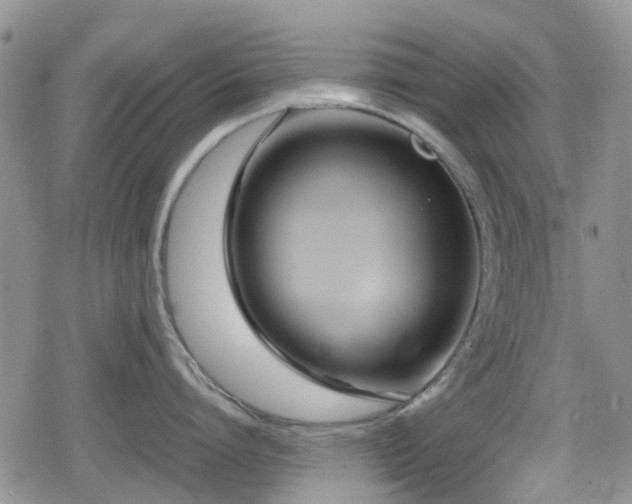 X0000080120864200612081250
