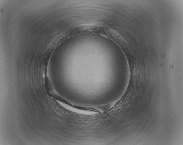X0000080120868200612081249
