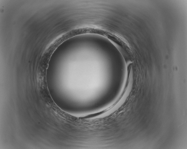 X0000080120872200612081249