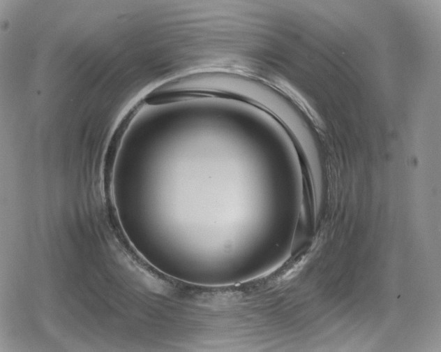 X0000080120884200612081249
