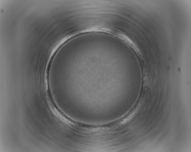 X0000080120892200612081249