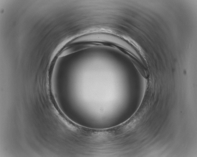 X0000080120894200612081249