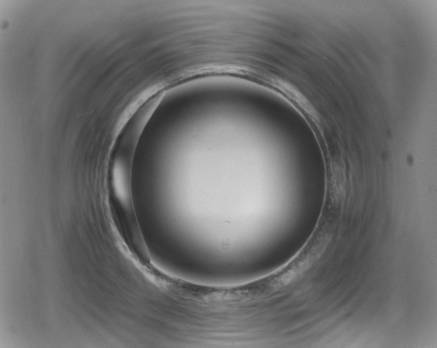 X0000080120898200612081249