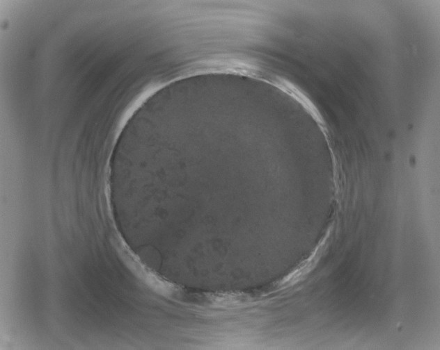 X0000080120899200612081249