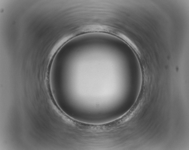 X0000080120901200612081249