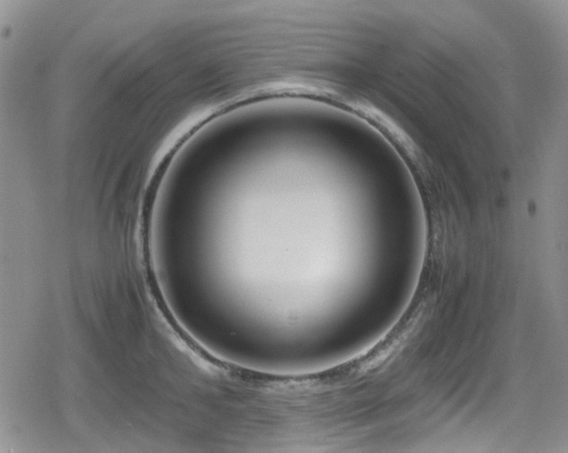 X0000080120902200612081249